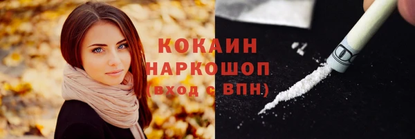 ГАЛЛЮЦИНОГЕННЫЕ ГРИБЫ Лагань