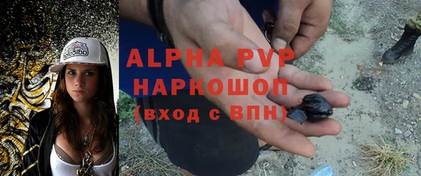 PSILOCYBIN Лиски