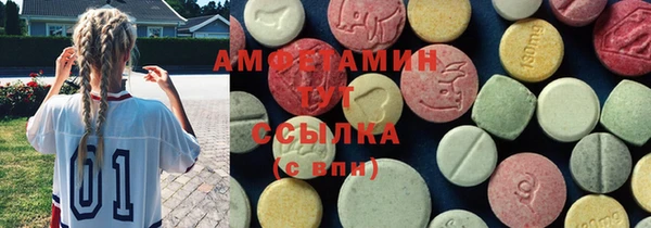 ГАЛЛЮЦИНОГЕННЫЕ ГРИБЫ Лагань