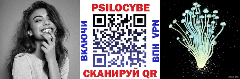 что такое   darknet клад  Галлюциногенные грибы мицелий  Михайловка 